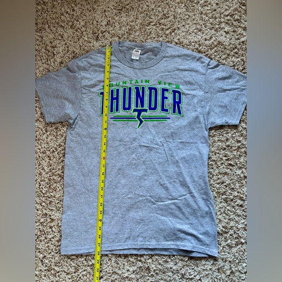 Men Fruit Of The Loom Gray Mountain View Thunder T-Shirt Size M - Picture 8 of 10